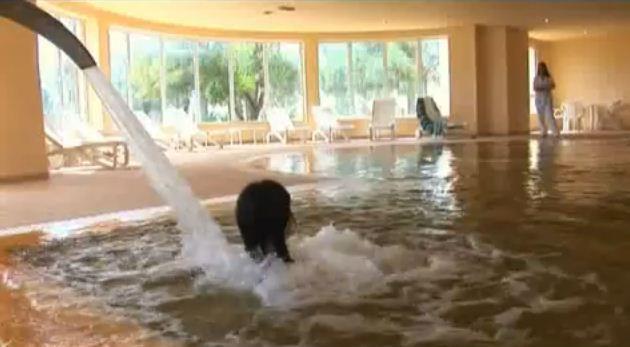 Zephir Hôtel & Spa Zephir Hôtel & Spa